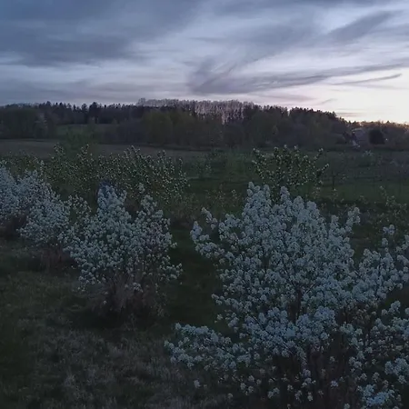 E Berry Farm - Slow Life *