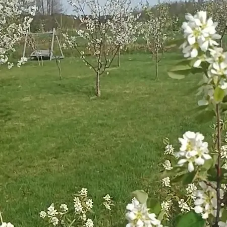 Prázdninový dům E Berry Farm - Slow Life *