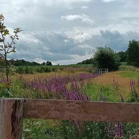 E Berry Farm - Slow Life