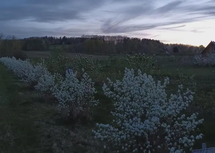 E Berry Farm - Slow Life *