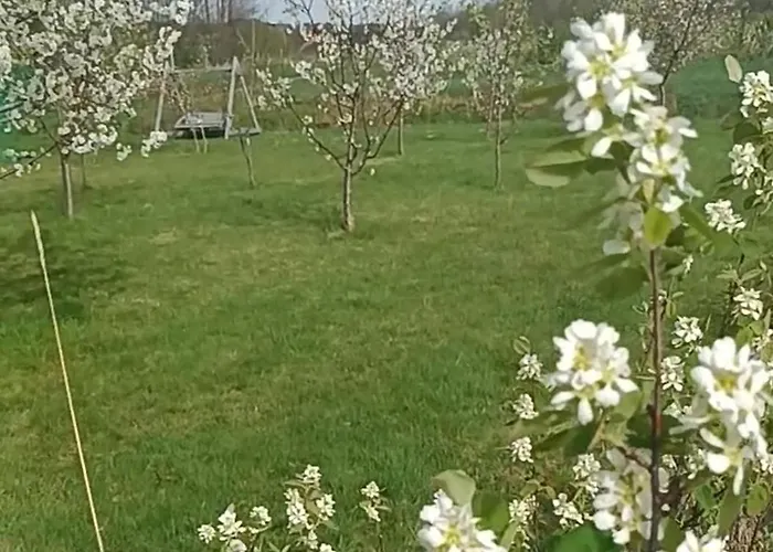 Prázdninový dům E Berry Farm - Slow Life *