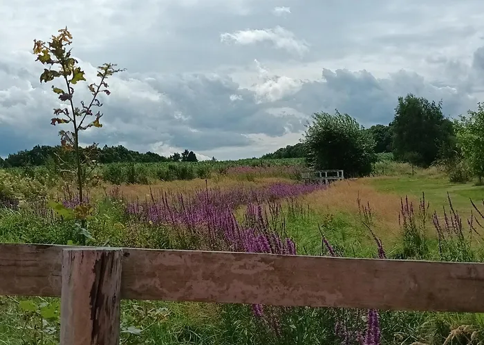 E Berry Farm - Slow Life